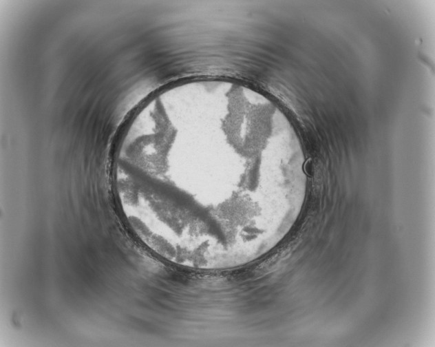 X0000095891071200802011102