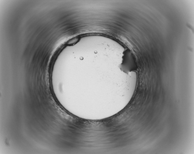 X0000095891072200802011102