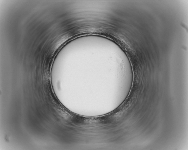 X0000095891073200802011102