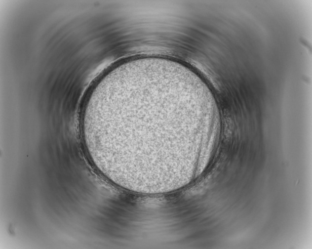 X0000095891074200802011102