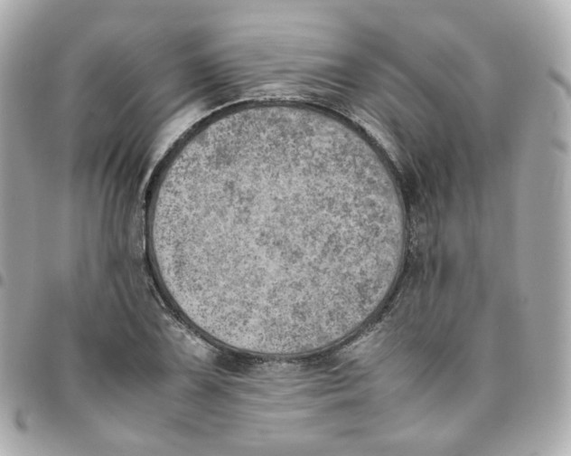 X0000095891075200802011102