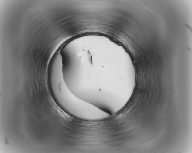 X0000095891076200802011102