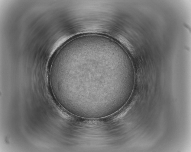 X0000095891077200802011102