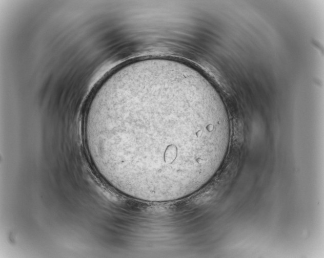 X0000095891078200802011102