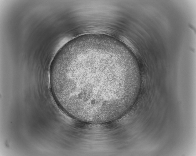 X0000095891079200802011102