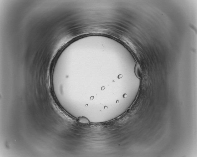 X0000095891080200802011102