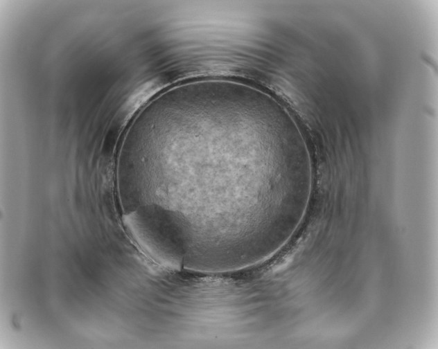 X0000095891081200802011102