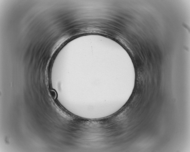 X0000095891082200802011102