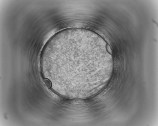 X0000095891083200802011101