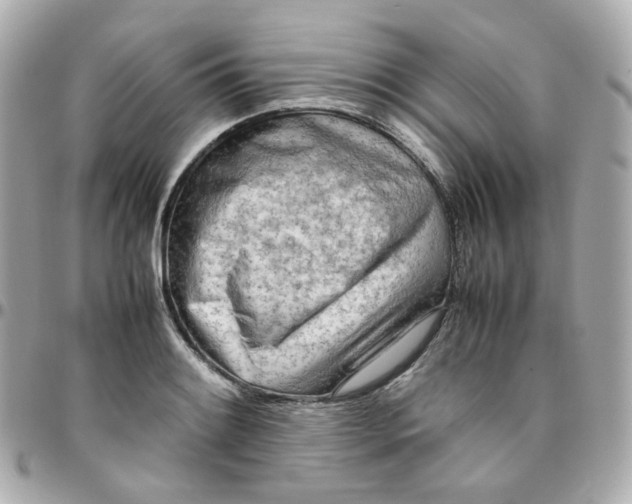 X0000095891084200802011101