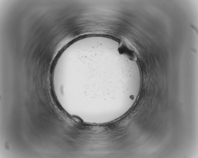 X0000095891085200802011101