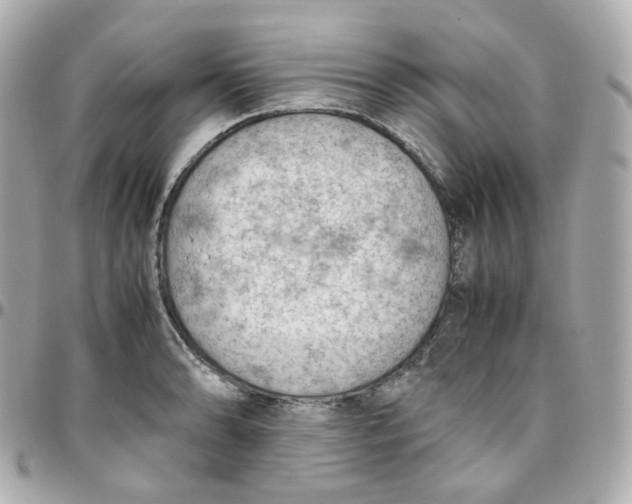 X0000095891086200802011101