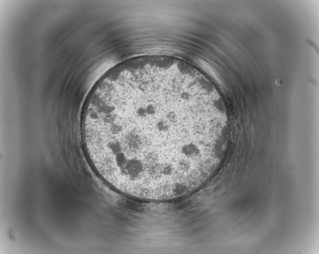 X0000095891087200802011101