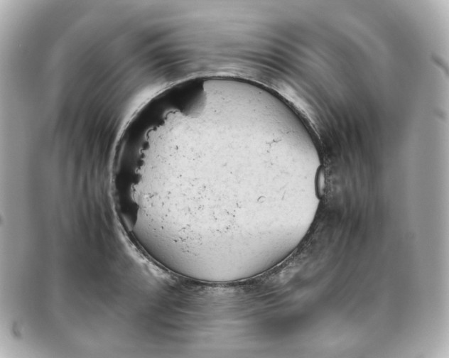 X0000095891088200802011101