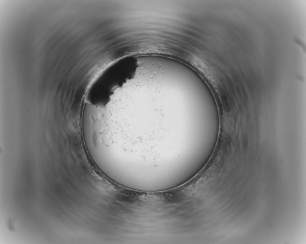 X0000095891089200802011101