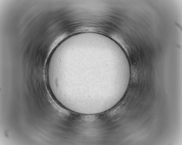 X0000095891090200802011101