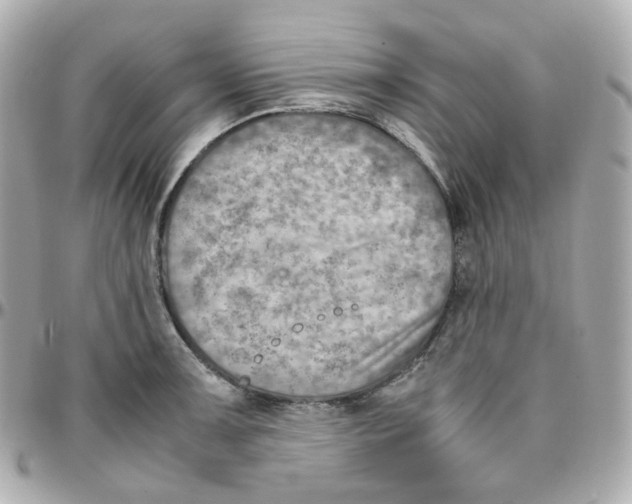 X0000095891091200802011101