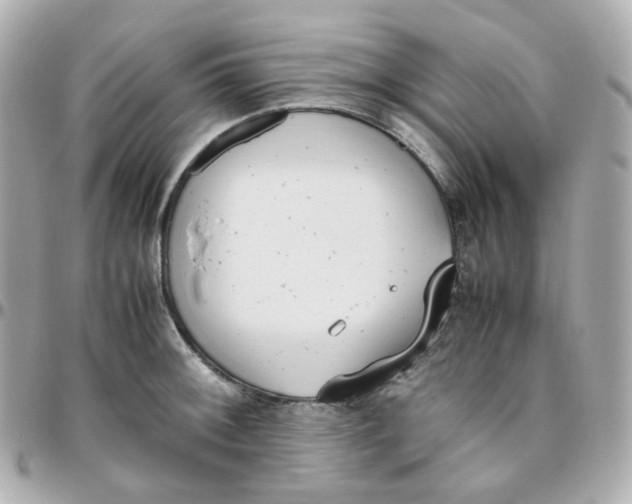 X0000095891092200802011101