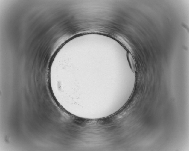 X0000095891093200802011101