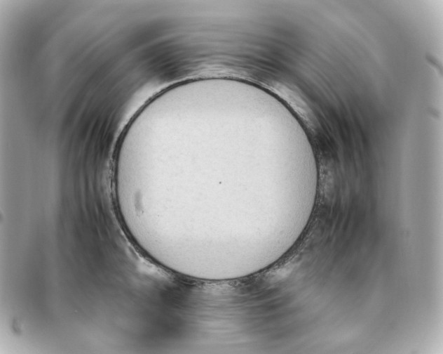 X0000095891094200802011101