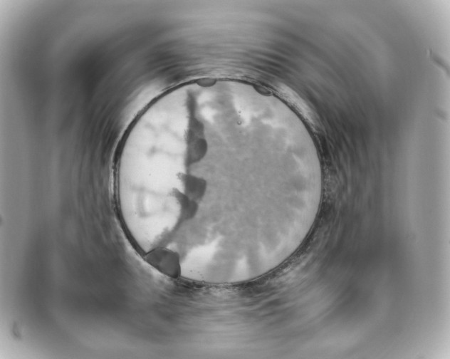 X0000095891095200802011101