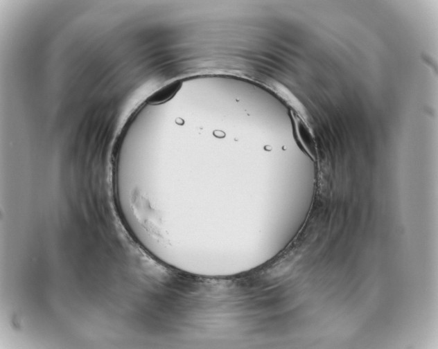 X0000095891096200802011101