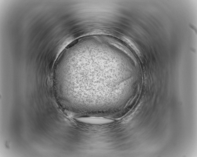 X0000095891097200802011101