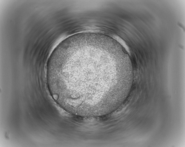 X0000095891099200802011101