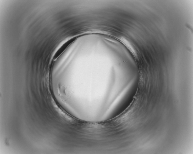 X0000095891100200802011101