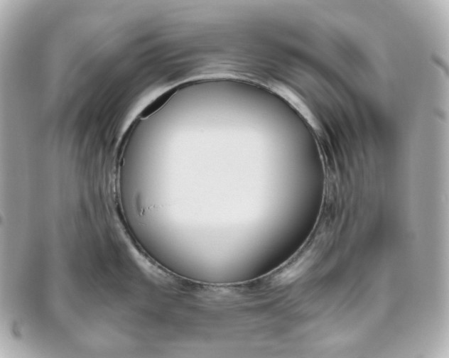 X0000095891101200802011101