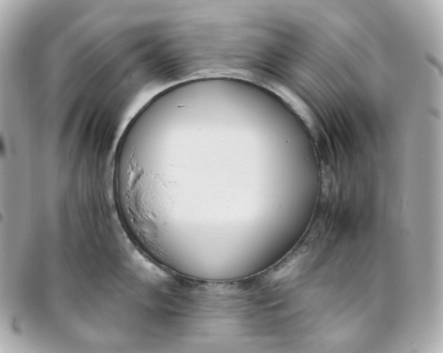 X0000095891102200802011101