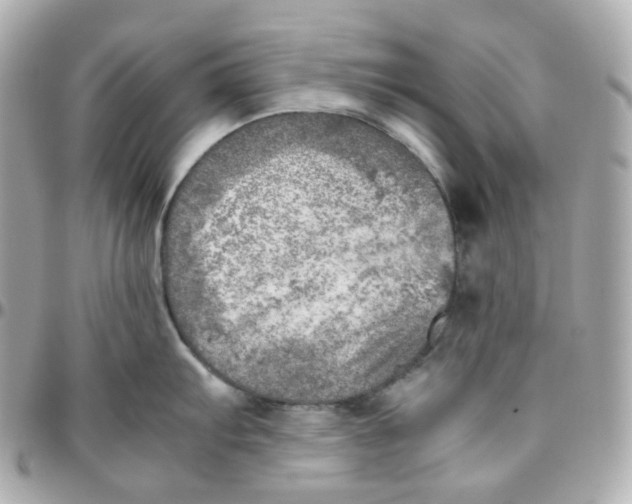 X0000095891103200802011101