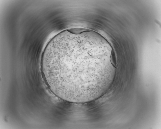 X0000095891104200802011101