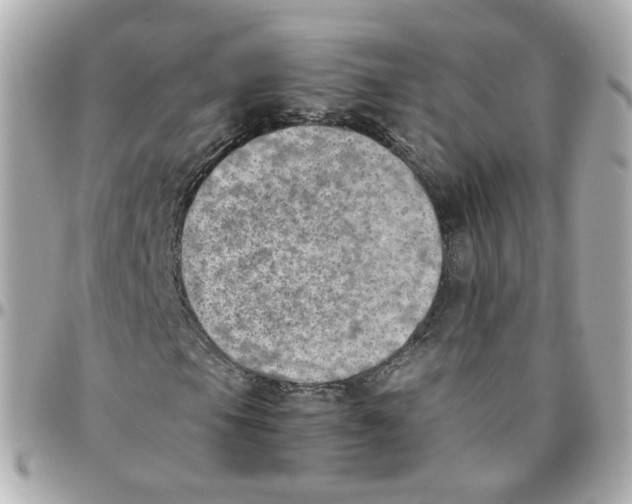 X0000095891105200802011100