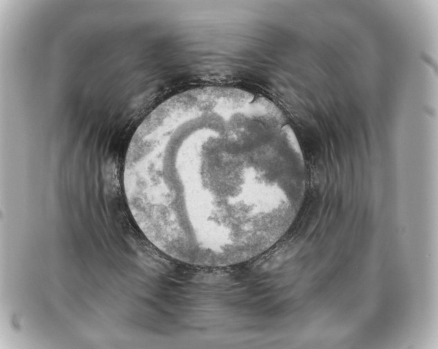 X0000095891106200802011100