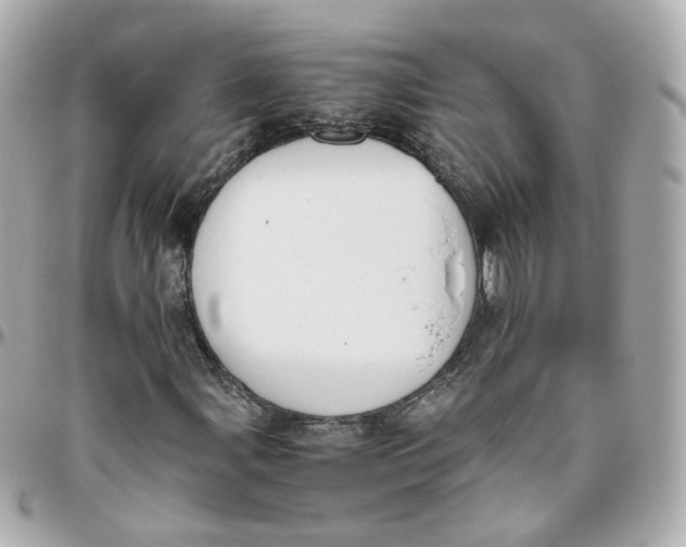 X0000095891107200802011100