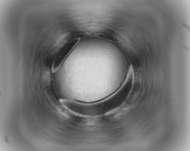 X0000095891108200802011100