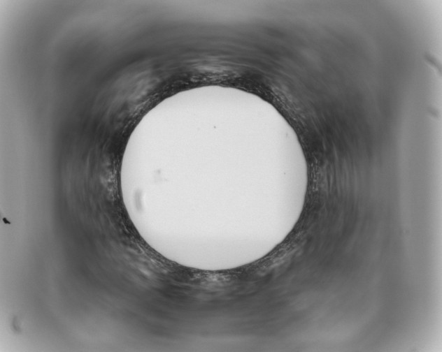 X0000095891109200802011100