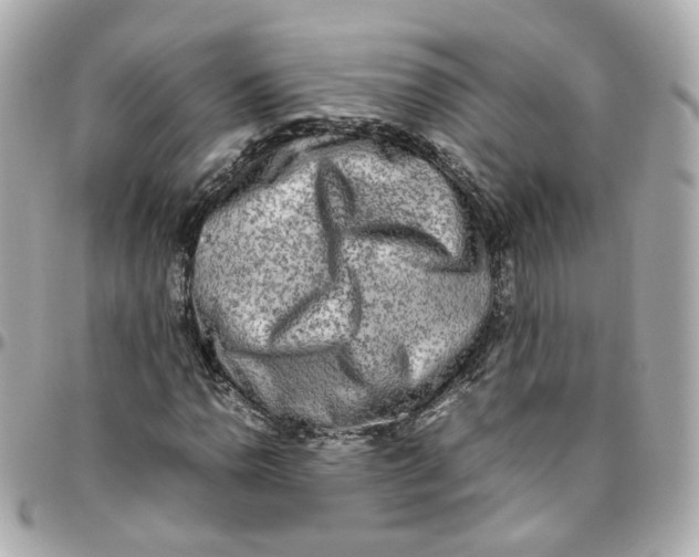 X0000095891110200802011100