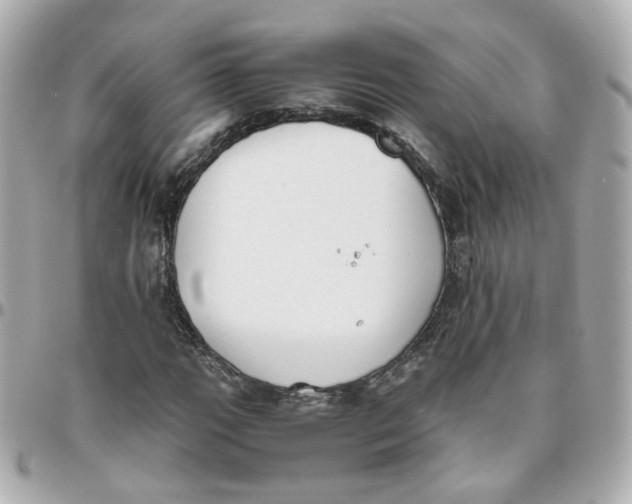 X0000095891111200802011100