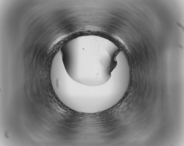 X0000095891112200802011100