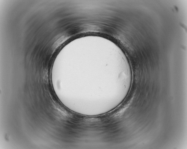 X0000095891113200802011100