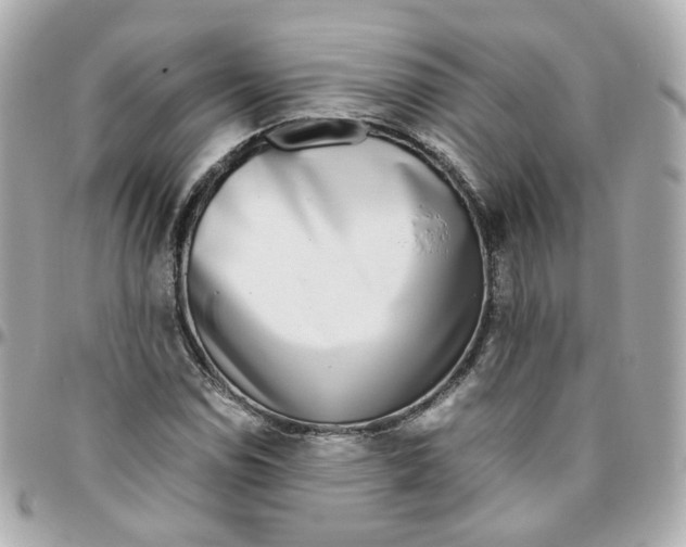 X0000095891114200802011101