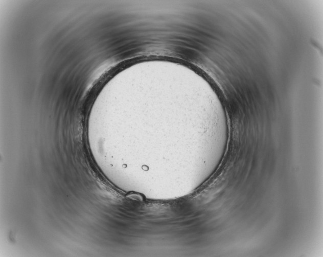 X0000095891115200802011101