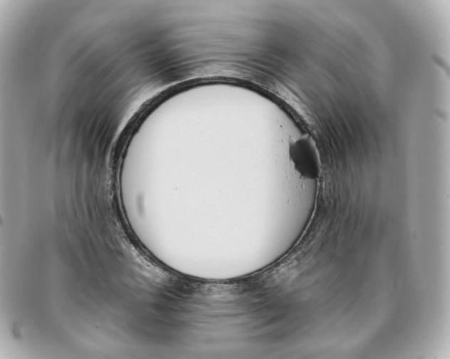 X0000095891116200802011101