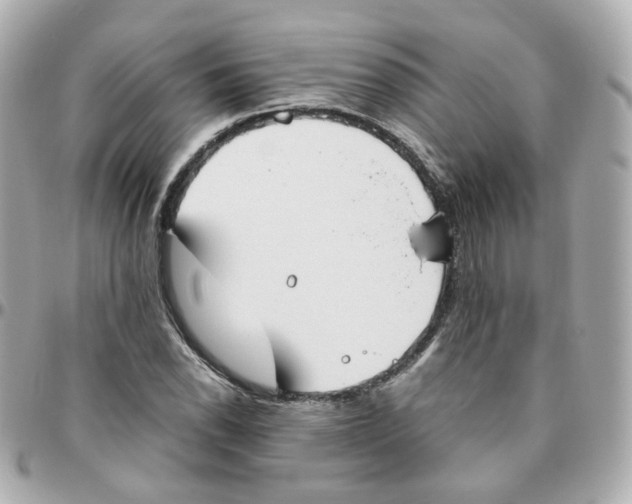 X0000095891118200802011101