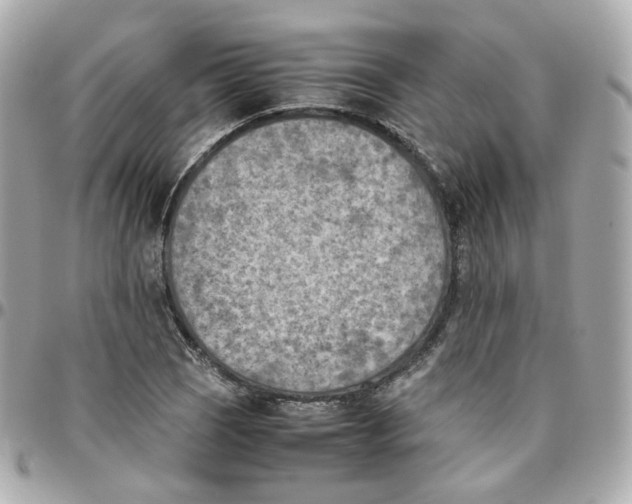 X0000095891121200802011101