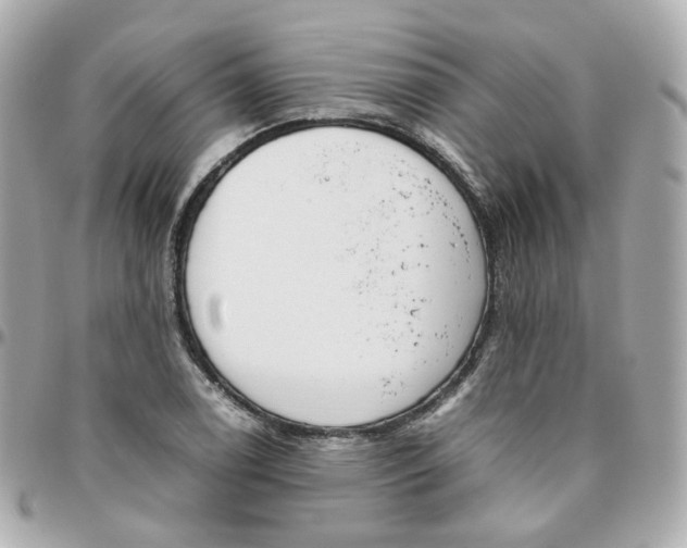 X0000095891122200802011101