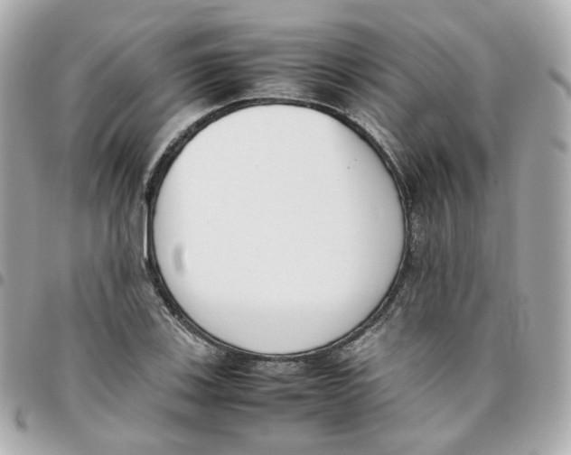 X0000095891123200802011101