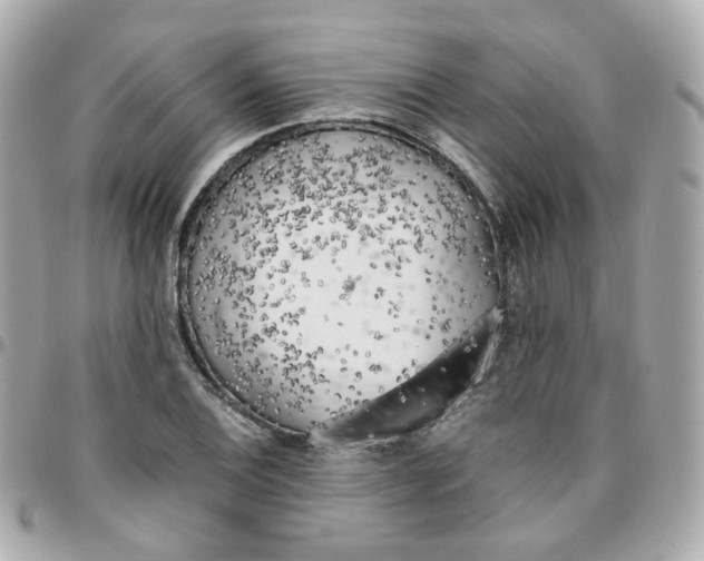 X0000095891124200802011101